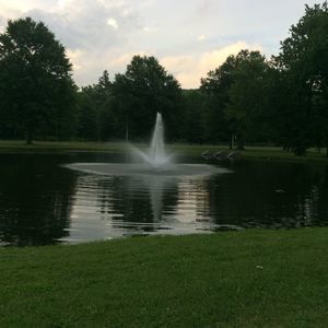 Meet your Posher, Thazin